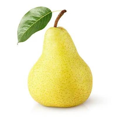  انواع گلابی با عکس