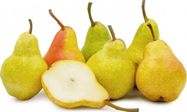  انواع گلابی با عکس