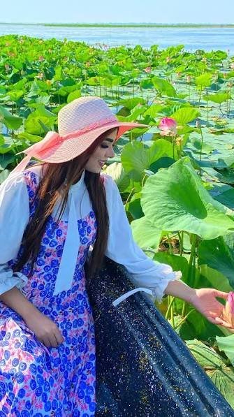  عکس گل نیلوفر زیبا