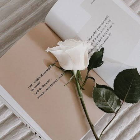  عکس کتاب باز روی میز برای پروفایل