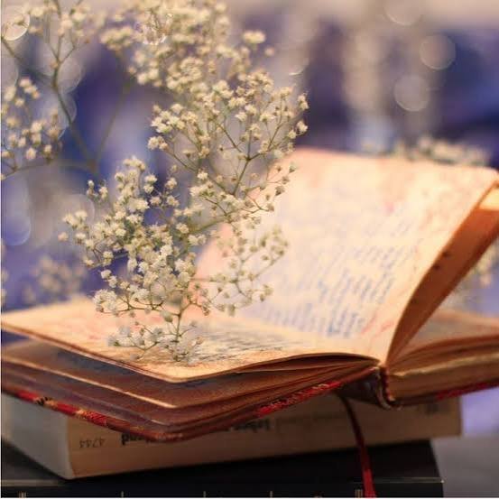  عکس کتاب باز روی میز برای پروفایل