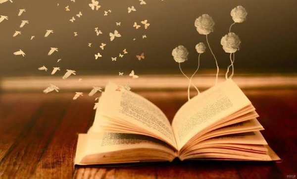  عکس کتاب باز شده