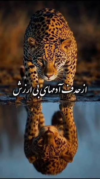  عکس نوشته تیکه دار آدم بی ارزش