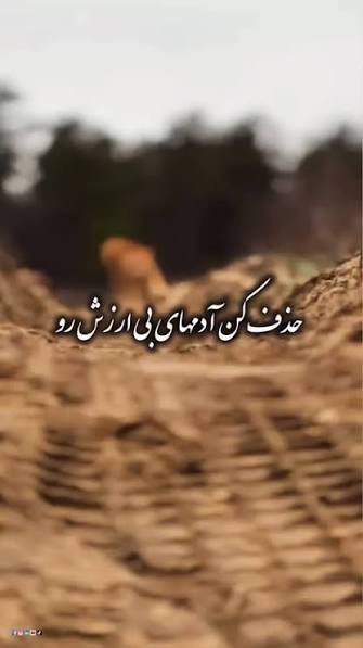  عکس نوشته تیکه دار آدم بی ارزش