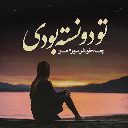  پروفایل بی لیاقتی مرد