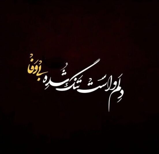  پروفایل بی لیاقتی مرد