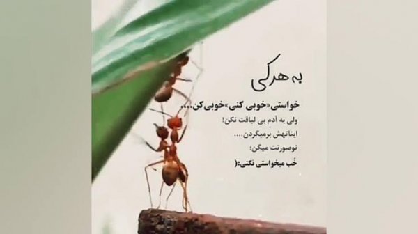 پروفایل تیکه به ادم بی لیاقت