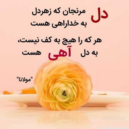 استوری فامیل بدرد نخور