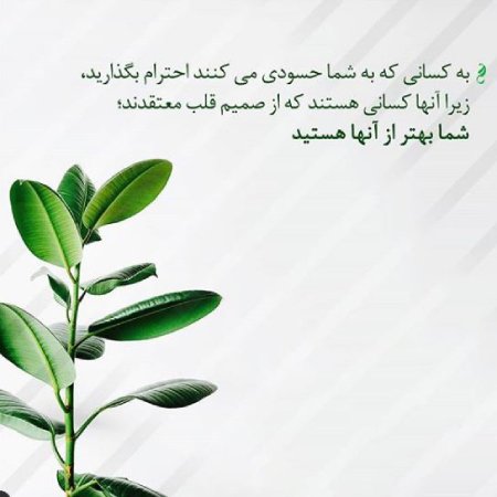  عکس نوشته تیکه دار به فامیل حسود