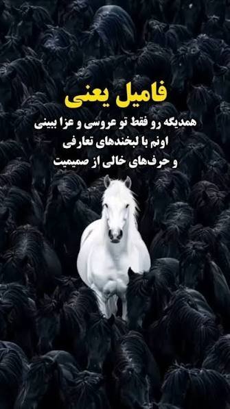 استوری تیکه دار به فامیل اینستا
