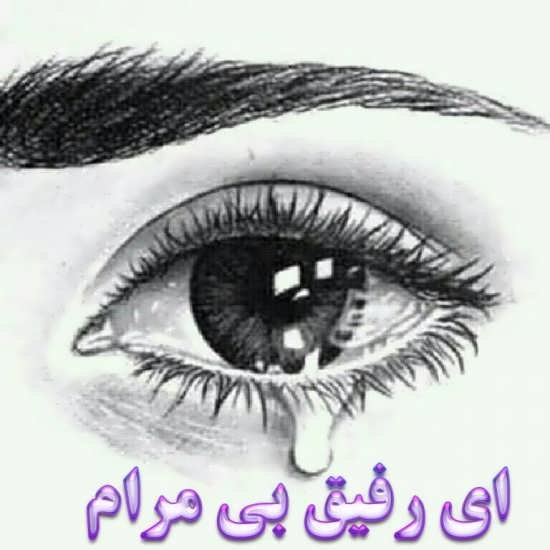  پروفایل نامردی رفیق