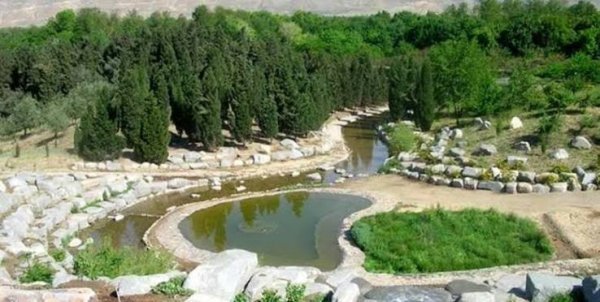 عکس باغ گیاه‌شناسی با کیفیت بالا