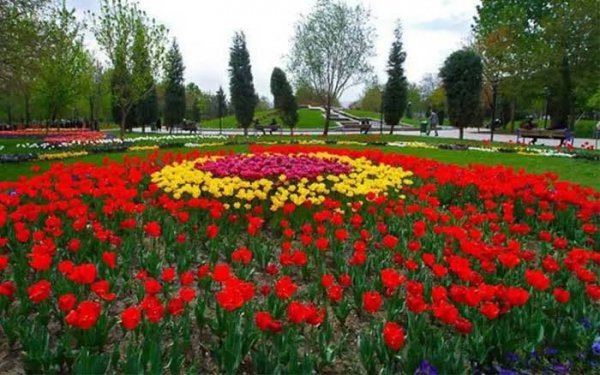  عکس باغ گیاه‌شناسی با کیفیت بالا