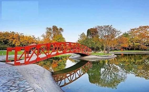  عکس باغ گیاه‌شناسی با کیفیت بالا