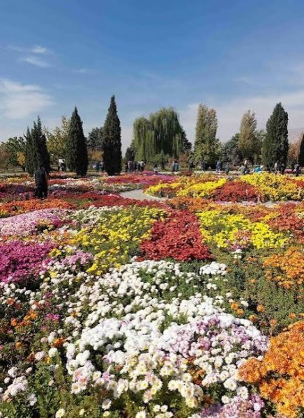  عکس باغ گیاه‌شناسی با کیفیت بالا