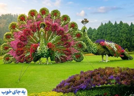  عکس باغ گیاه‌شناسی با کیفیت بالا