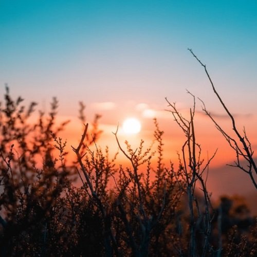  عکس ساحل در طلوع آفتاب برای پروفایل