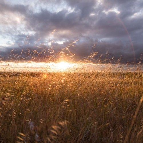  عکس ساحل در طلوع آفتاب برای پروفایل