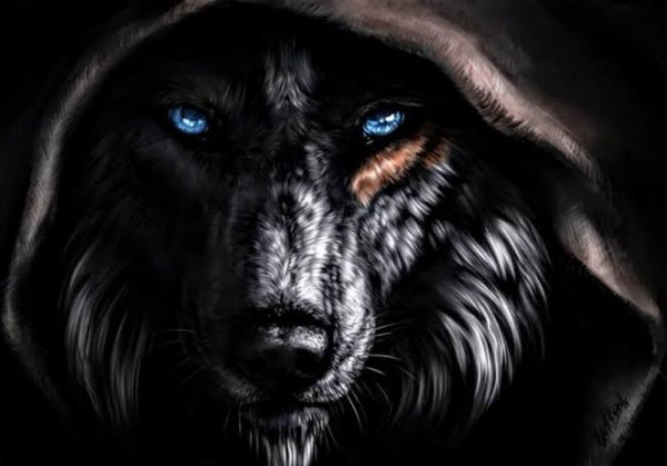  عکس پس زمینه زیبا و جذاب گرگ فانتزی