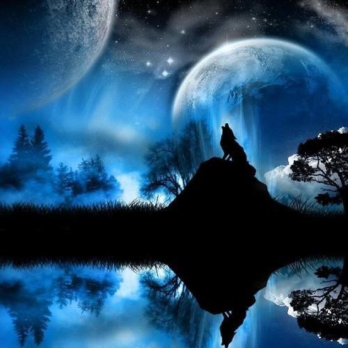  عکس پس زمینه زیبا و جذاب گرگ فانتزی