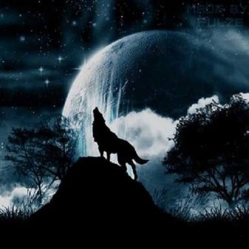  عکس پس زمینه زیبا و جذاب گرگ فانتزی