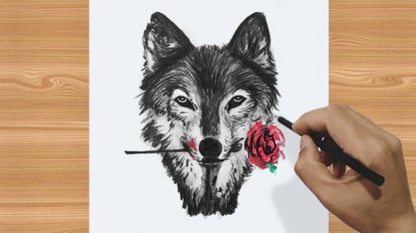  عکس گرگ کارتونی برای نقاشی