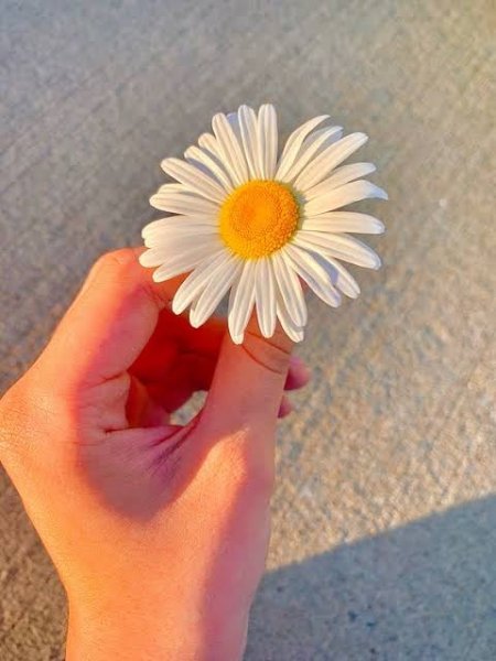  عکس دست دختر