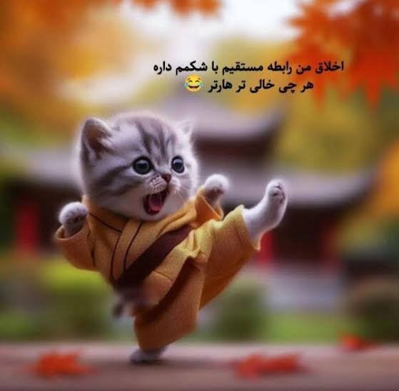  عکس پروفایل عروسکی بامزه با متن
