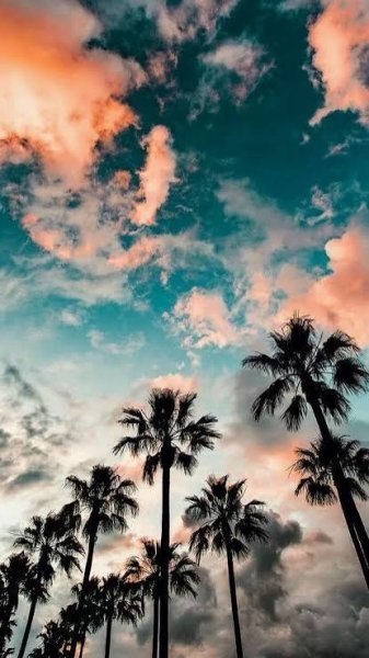  والپیپر آیفون خفن