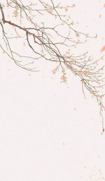  دانلود بکگراند سفید زیبا برای استوری
