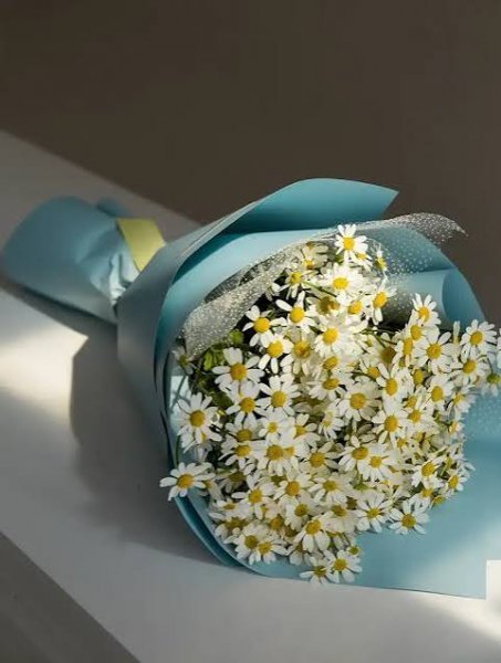  عکس مینمال گل بابونه