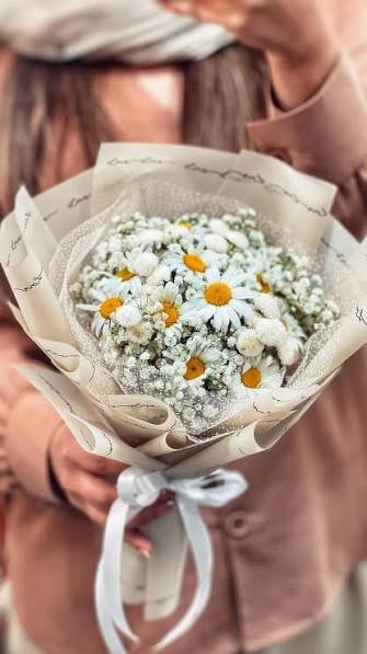  عکس مینمال گل بابونه
