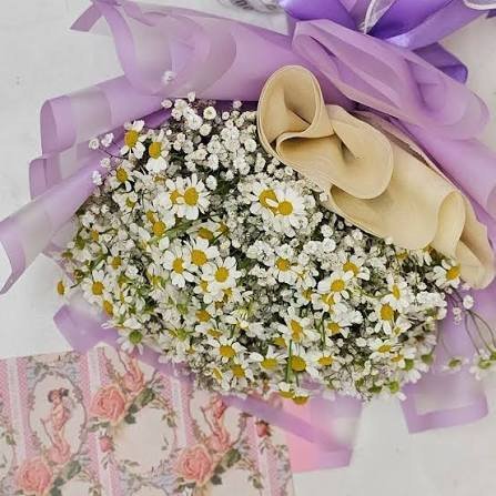  عکس مینمال گل بابونه