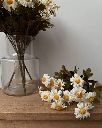  عکس مینمال گل بابونه