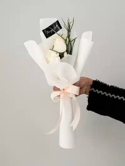  عکس گل رز سفید تک شاخه