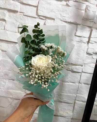  عکس گل رز سفید تک شاخه