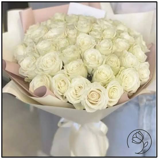 عکس گل رز سفید عاشقانه