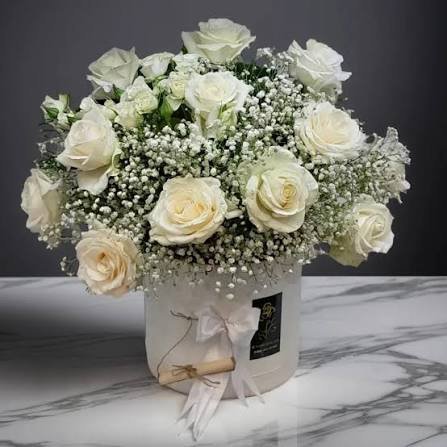  عکس گل رز سفید عاشقانه