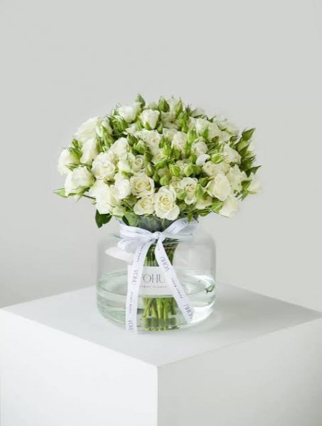  عکس گل رز سفید عاشقانه