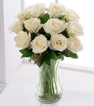  عکس گل رز سفید عاشقانه