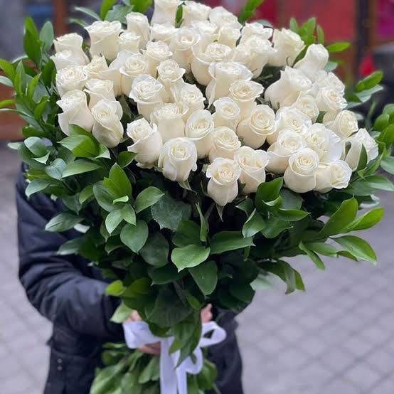  عکس گل رز سفید برای پروفایل