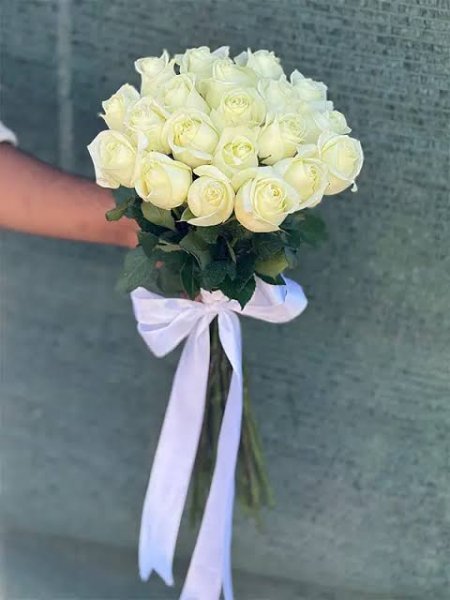  عکس گل رز واقعی سفید
