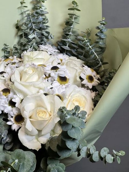  عکس گل رز واقعی سفید
