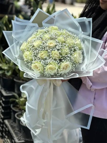  عکس گل رز واقعی سفید