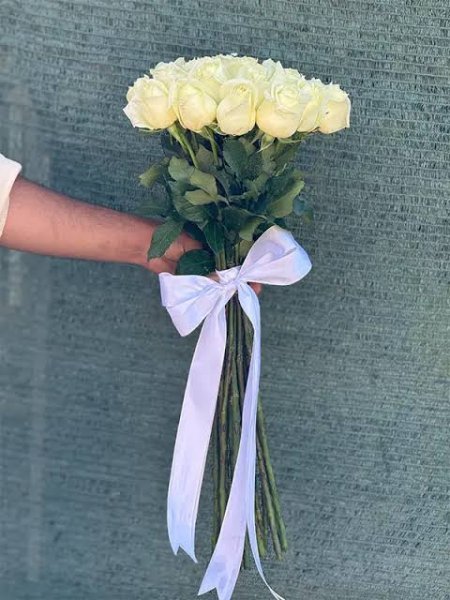  عکس گل رز واقعی سفید