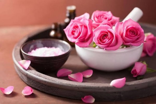  عکس گل محمدی