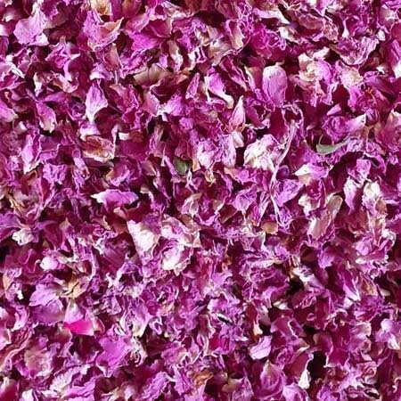  عکس گل محمدی