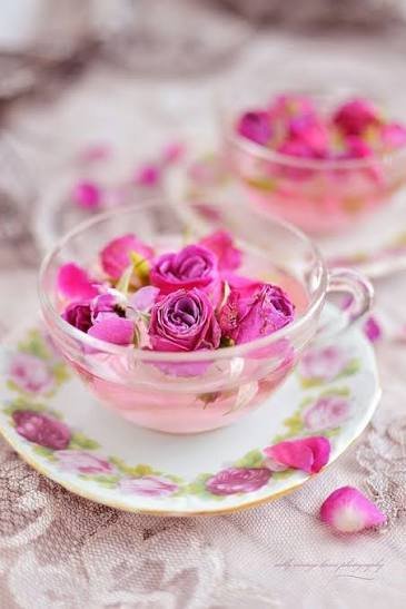  عکس گل محمدی