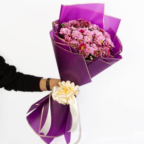  عکس انواع گل داوودی
