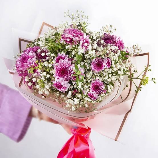  عکس انواع گل داوودی